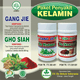 Illustration for article titled Penyebab Kelamin Masih Sakit Setelah Obat Antibiotik Dokter Habisem/em